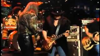 Lynyrd Skynryd  Live From Austin mp4 [upl. by Esirahs219]