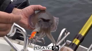 Tecnica di PESCA EGING alle SEPPIE a Napoli  PESCHIAMOLE in Barca con le canne Tubertini [upl. by Anaihs]