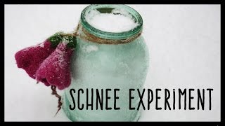 Experiment Schnee schmelzen  Kindertipp [upl. by Navarro]