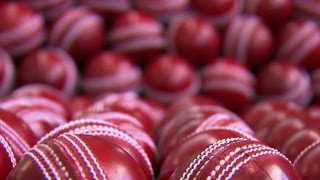 Cricket Ball  How Do They Do It [upl. by Dzoba]