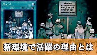 【ゆっくり解説】禁止令さん、紙ならではの理由で再評価されてしまう【遊戯王】 [upl. by Elsbeth639]