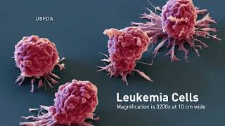 Using Gene Therapy to Defeat Cancer Hereditary Disease [upl. by Akkahs]