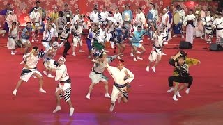 ふるさと祭り東京／高円寺阿波おどり （2016年1月） [upl. by Malachy]