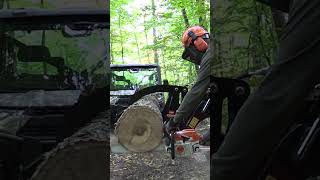 Stihl MS 261 Vs Stihl MS 362 shorts [upl. by Moyna]