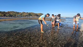 ANG DAMI NITO NAHIBASAN AT DERITSO LUTO SA KAMPO [upl. by Jillayne]