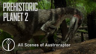 Prehistoric Planet 2 all scenes of Austroraptor [upl. by Olethea]