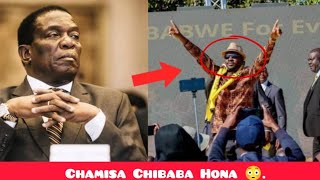 Finally Zanu PF Yazobvuma Kuti Chamisa ndiPresident 😳 [upl. by Canning]