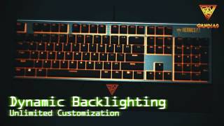 GAMDIAS HERMES P1 RGB Gaming Keyboard [upl. by Vtehsta]