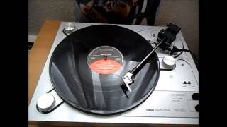 METALLICA  LAST CARESSGREEN HELL 1987 VINYL [upl. by Keraj]