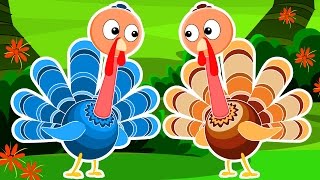 Five Little Turkeys  Turkey Song  Happy Thanks Giving [upl. by Ahtenak]