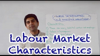 Characteristics of a Perfectly Competitive Labour Market [upl. by Nosreip407]