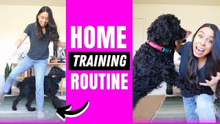 5 Training Exercises You Should Do EVERY DAY At Home [upl. by Gunar]