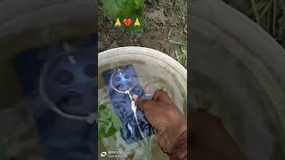 Realme 12 pro plus 🔥 water 💦 test Realme 12 pro plus waterproof 🌊 test water test realme [upl. by Dupin321]