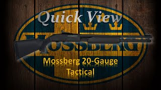 Quick View Mossberg 20Gauge Tactical [upl. by Kcirret]