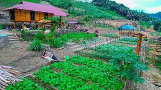 300 day process Sang Vy grows vegetables raises chickens takes care of and harvests vegetables sell [upl. by Ahseekan]