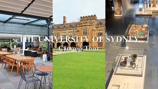 The University of Sydney Campus Tour Australia Vlog 14 [upl. by Hnahym708]