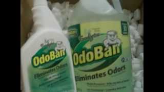 OdoBan Multi Purpose Cleaner Box Opening  dayspetreviews [upl. by Hopfinger288]