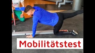 Mobilitätstest  Functional Movement Screen [upl. by Redienhcs]