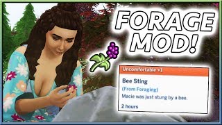 FORAGE FOR RESOURCES MOD  The Sims 4 [upl. by Eddana385]