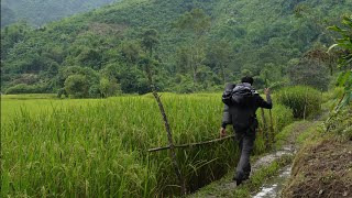 Solo Camping and Fishing  CATCH amp COOK  Assam Manipur Border [upl. by Bik930]