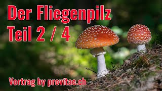 Der Fliegenpilz Vortrag Teil 2 [upl. by Nivlem]