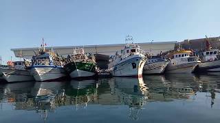 Sortie du port de Kelibia la blanche Tunisie [upl. by Olmsted421]