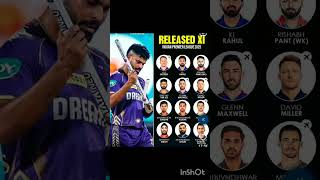 2025 Ipl released players XI [upl. by Ahsiuqram]