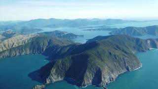 Flight Review  Sounds Air Cessna Caravan 208A Wellington WLG to Picton PCN FlightReview [upl. by Lassiter]