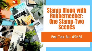 Stamp Along with Rubbernecker One stampTwo Scenes [upl. by Eiba]