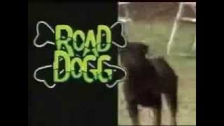 WWE  Road Dogg Jesse James Theme Song Oh You Didnt Know HD [upl. by Latsirk]