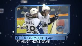 SEA DOGS SEASON TICKET PROMO [upl. by Boynton578]