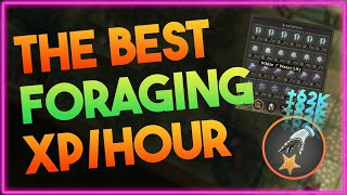 Fastest Foraging XP Route in Brighter Shores [upl. by Roose]