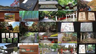 京都御朱印コース 鈴虫寺～嵐山周辺 Unmissable Temples amp Shrines and Recommended spots around Arashiyama in Kyoto [upl. by Thisbe979]