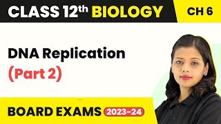 DNA Replication Part 2  NCERT Class 12 Biology Chapter 6  DNA Replication 202223 [upl. by Roehm]