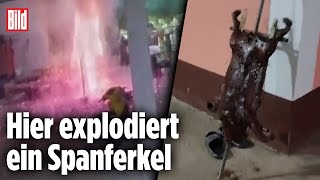 Spanferkel fliegt in die Luft Heftige Explosion beim BBQ  Thailand [upl. by Anisamot]