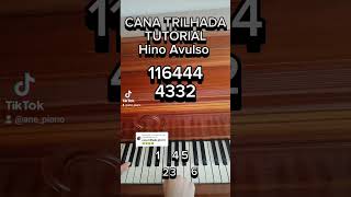 Cana Trilhada hino avulso CCB TUTORIAL PIANO [upl. by Schroder730]