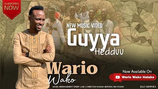 Afaan Oromoo New Gospel song  Guyyaa hedduu  Waariyoo Waaqoo  2022 [upl. by Ramona]