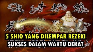 5 SHIO YANG DILEMPAR REZEKI SUKSES DALAM WAKTU DEKAT [upl. by Pitt457]