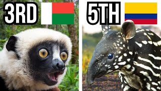 5 Countries With The Most Endangered Species [upl. by Pentheas]