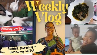 Our Rabbit Gave Birth  Content Creation vs NEPA  An Unfiltered Slow Week  Vlog 8 [upl. by Sherr]