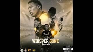 IWaata  Whisper Gone Mi Gone 🇯🇲🇬🇧Official Audio  Countree Hype [upl. by Cadell696]