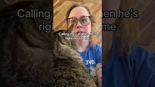 Instructions unclear cat catsofyoutube catshorts tabby tabbycat millennial genx [upl. by Psyche]