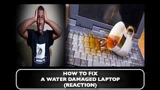 How to Fix a Water Damaged Laptop REACTION [upl. by Lamag315]