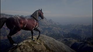 Male Warped Brindled ArabianRed Dead Redemption 2 [upl. by Retrac680]