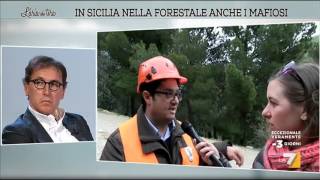 In Sicilia nella Forestale anche i mafiosi [upl. by Weidman88]