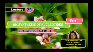 Biosynthesis of Nucleotides Part1 for SemV CC12 amp DSE1 [upl. by Acirej]