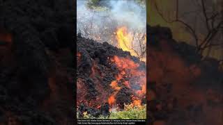 Which Type of Lava Flow is Fastest [upl. by Aniwde]