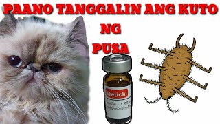 Paano tanggalin ang kuto ng pusa gamit ang detick advisable sa 1 year old pataas kuto fleas cat [upl. by Llennahc]