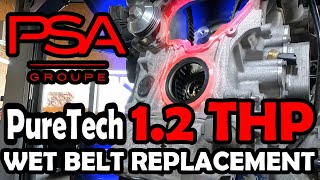 12 THP PSA Engine wet timing belt replacement guide EASIER than you think Fast amp easy guide [upl. by Eimar]