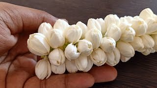 simpleampeasy trick to string jasmine flower closelyhow to tie jasmine garlandmalligai poo kattuthal [upl. by Ityak]